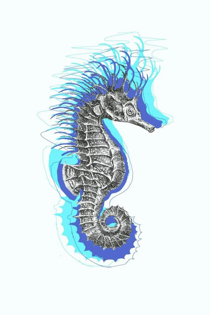 Seahorse poster by Rococco LA