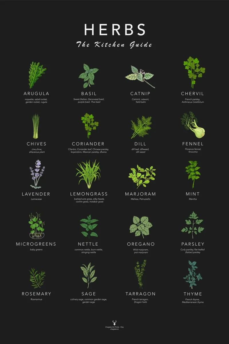 Póster de Hierbas para la Pared de la Cocina Cook Cheat Paper Herbs poster de Chagatai Art