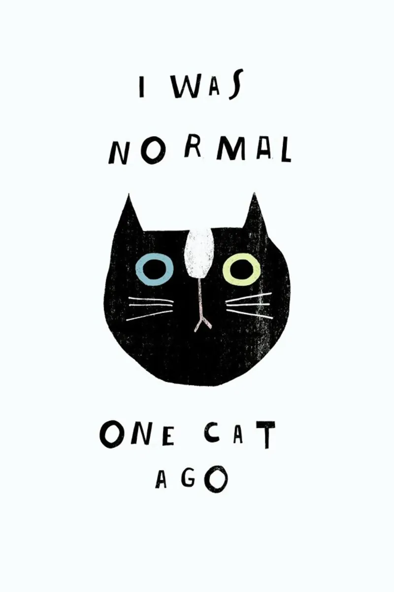 Catisfaction No. 9 alluminio dibond da typealive