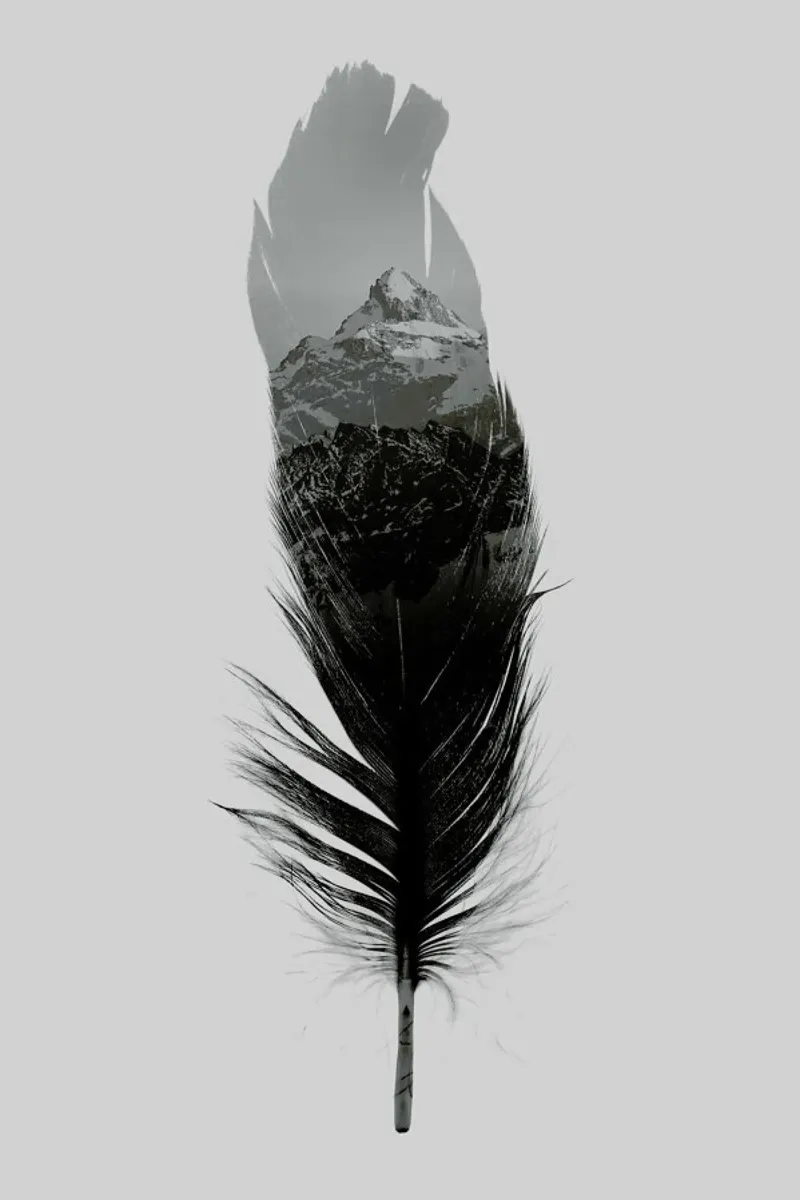 Feather carta hahnemühle da Chris Wharton