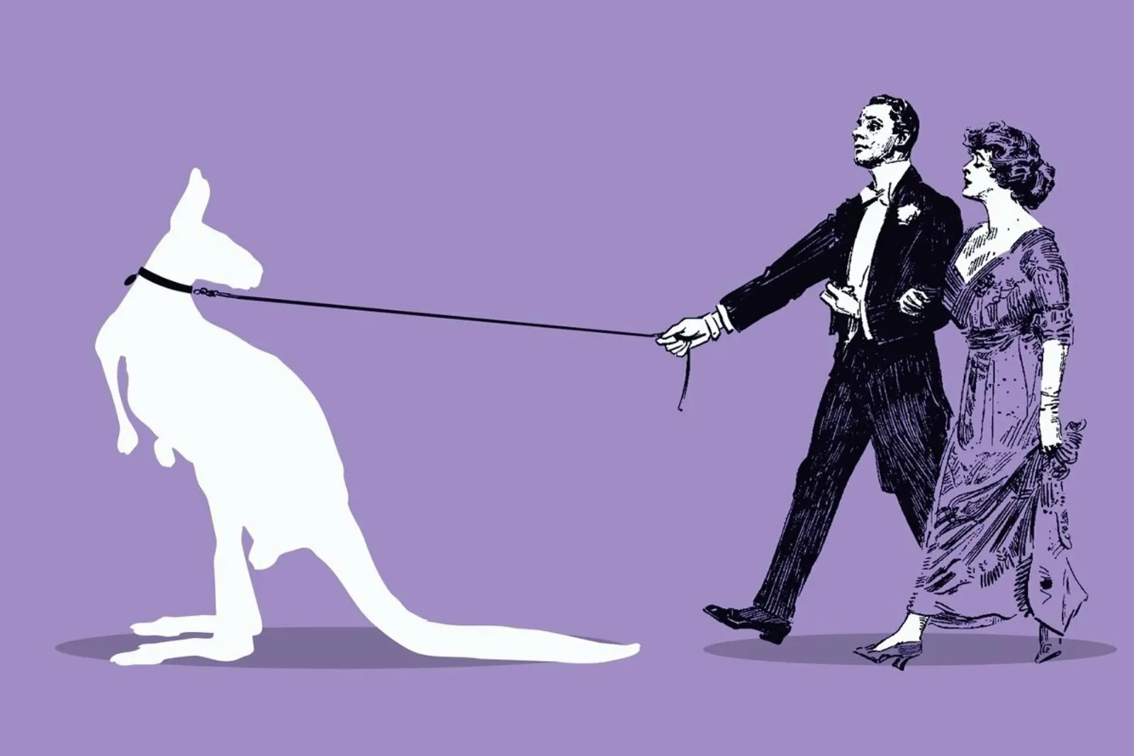 Walking The Kangaroo carta hahnemühle da Rob Art | Illustration