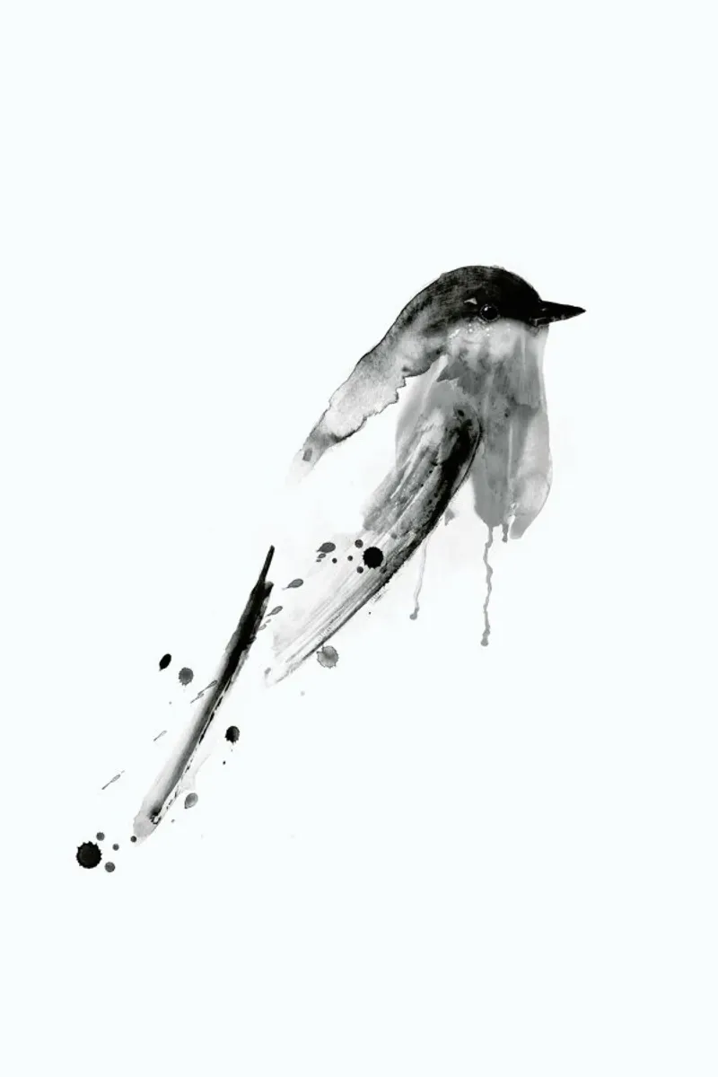 Birdy No. 3 plexiglass da typealive