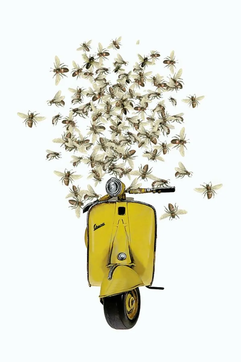 Sweet as a honey...Vespa pellicola backlit da Rococco LA