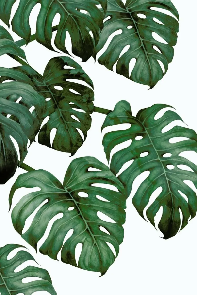 Tropical No. 6 poster con telaio in alluminio da typealive