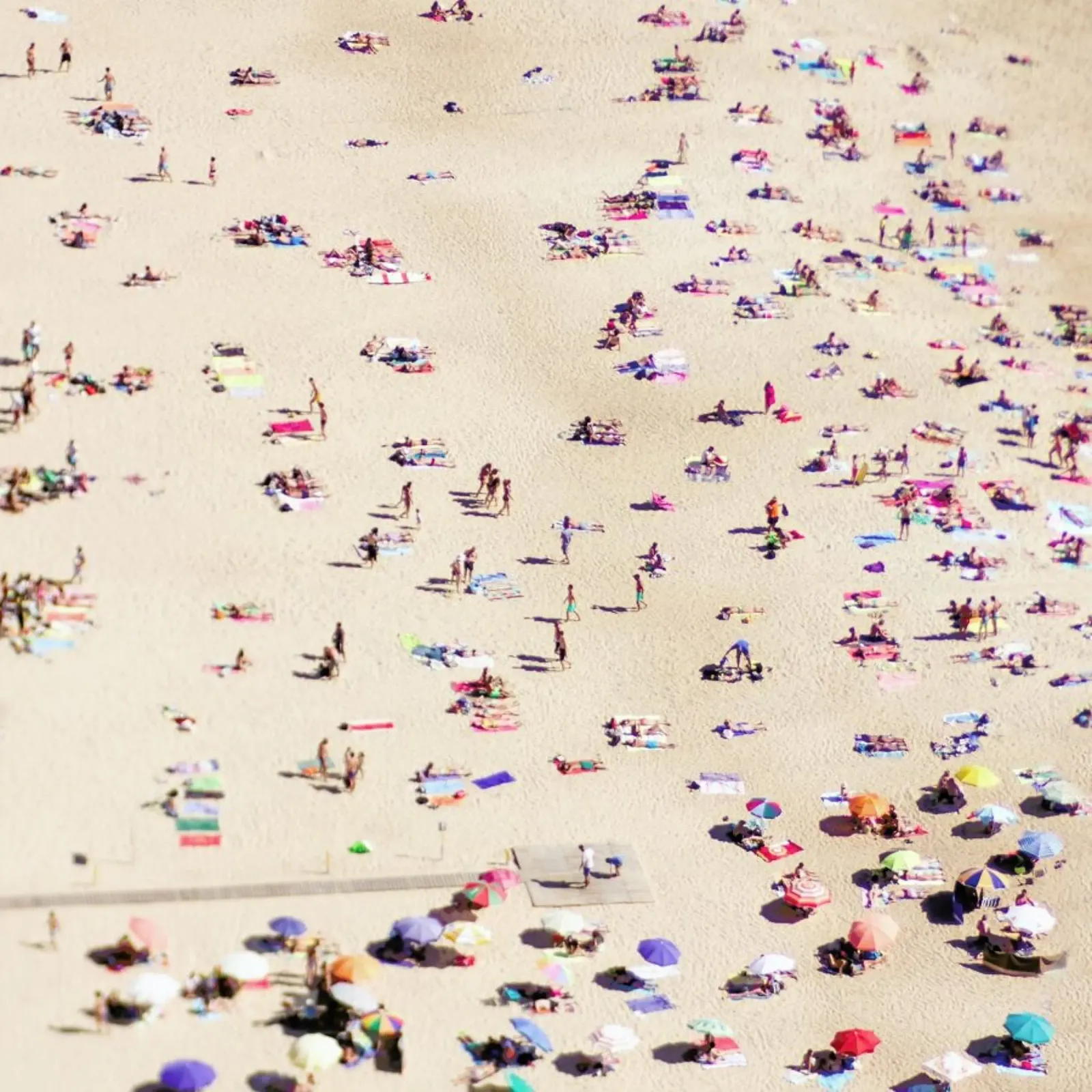 Beach Happy pellicola backlit da Ingrid Beddoes