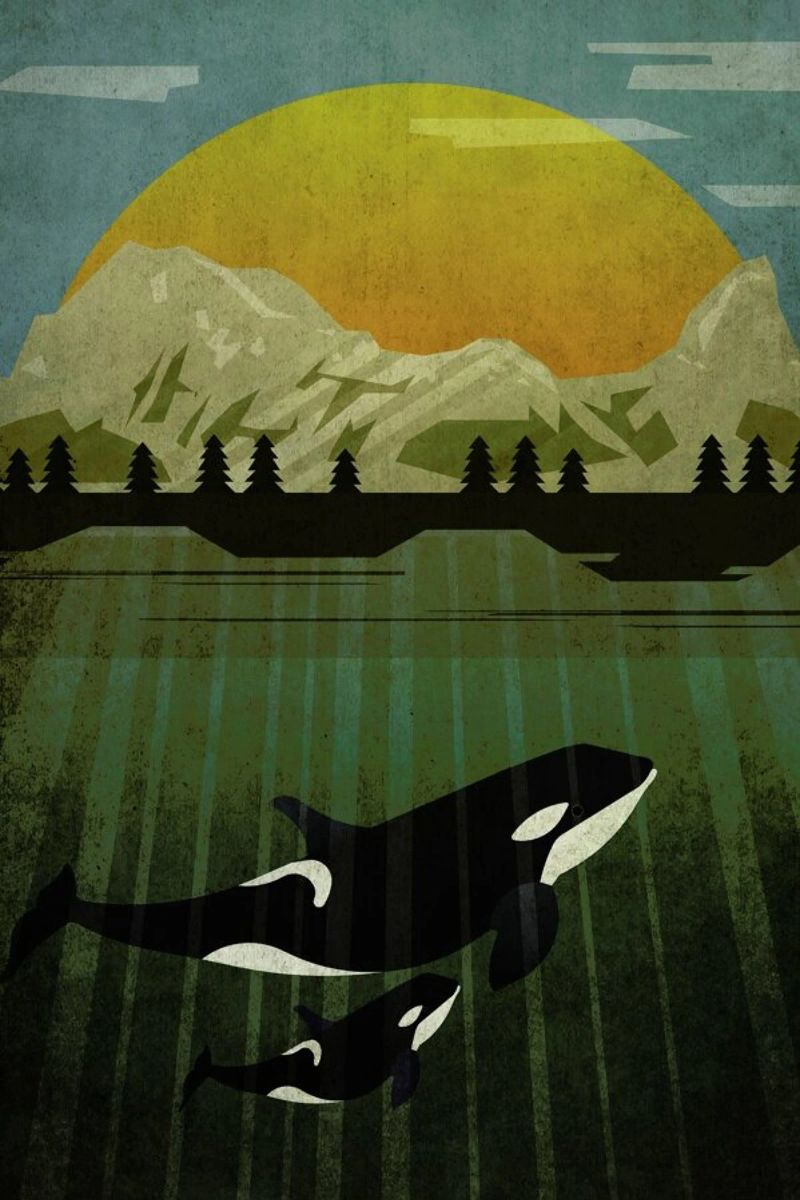 Orka Poster von Sabrina Ziegenhorn