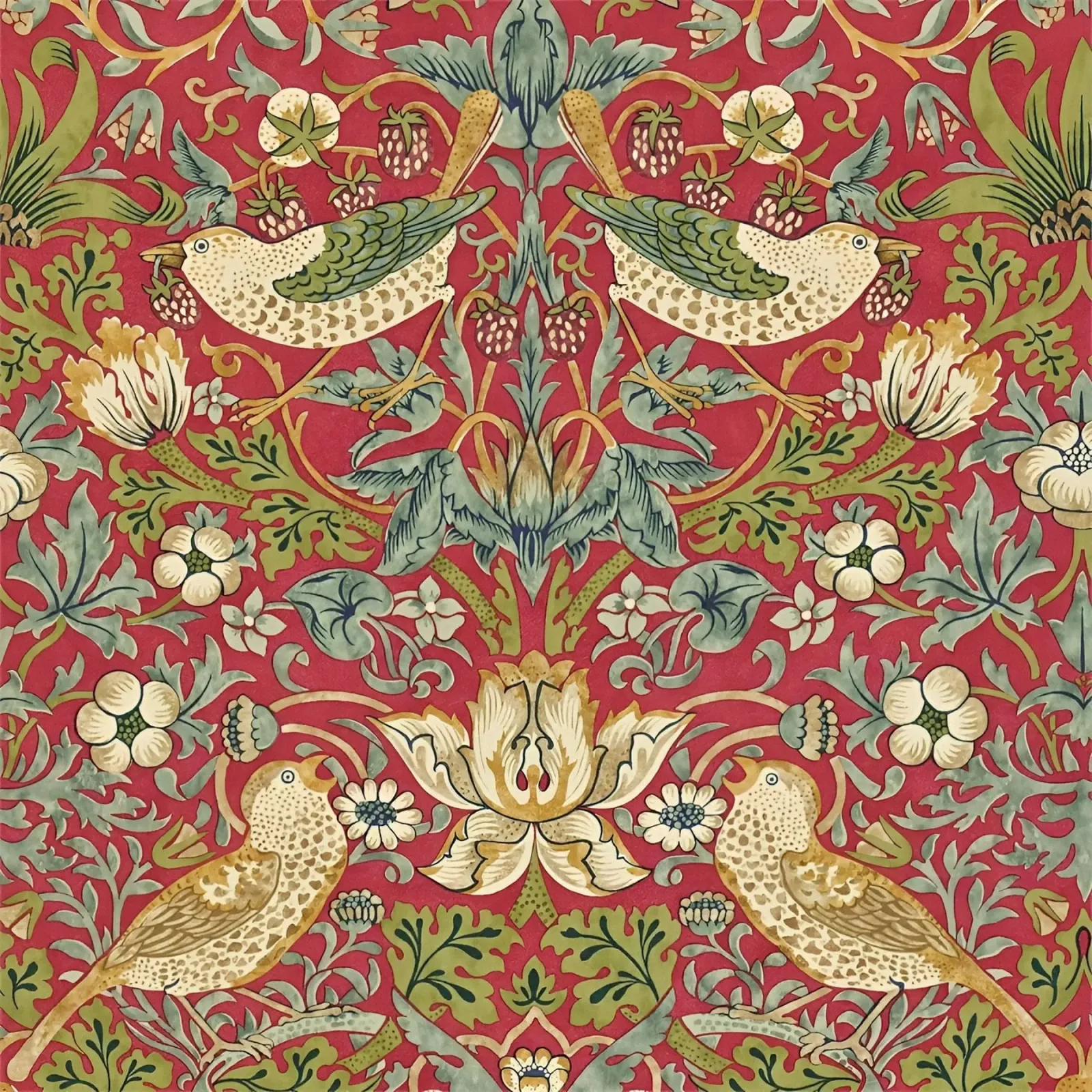 William Morris - ladro di fragole pellicola backlit da William Store