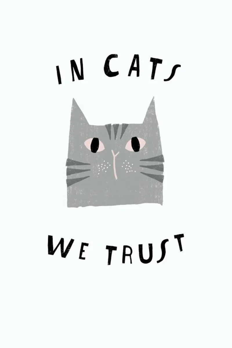Catisfaction No. 3 carta hahnemühle da typealive