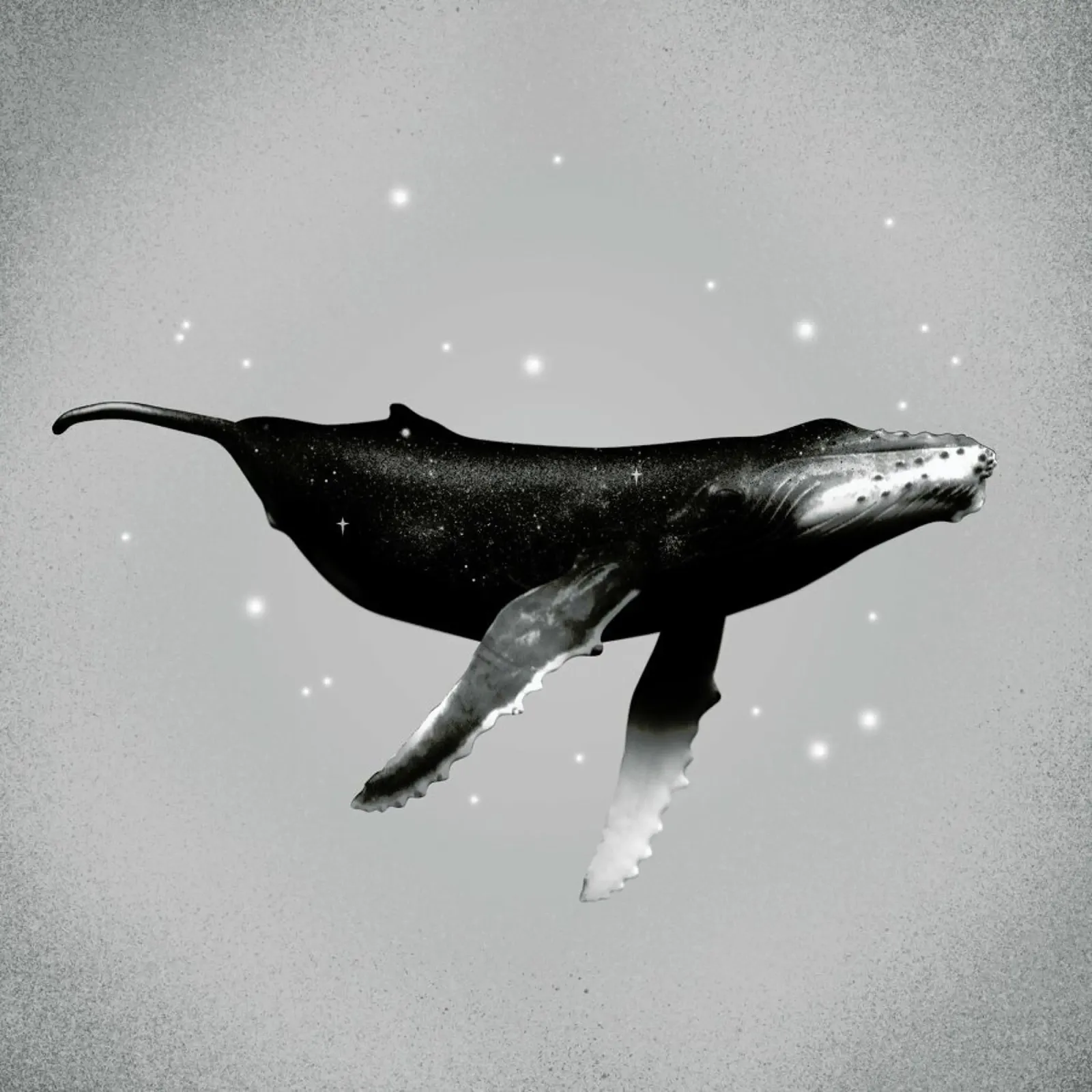 Whale poster con telaio in plastica da Chris Wharton