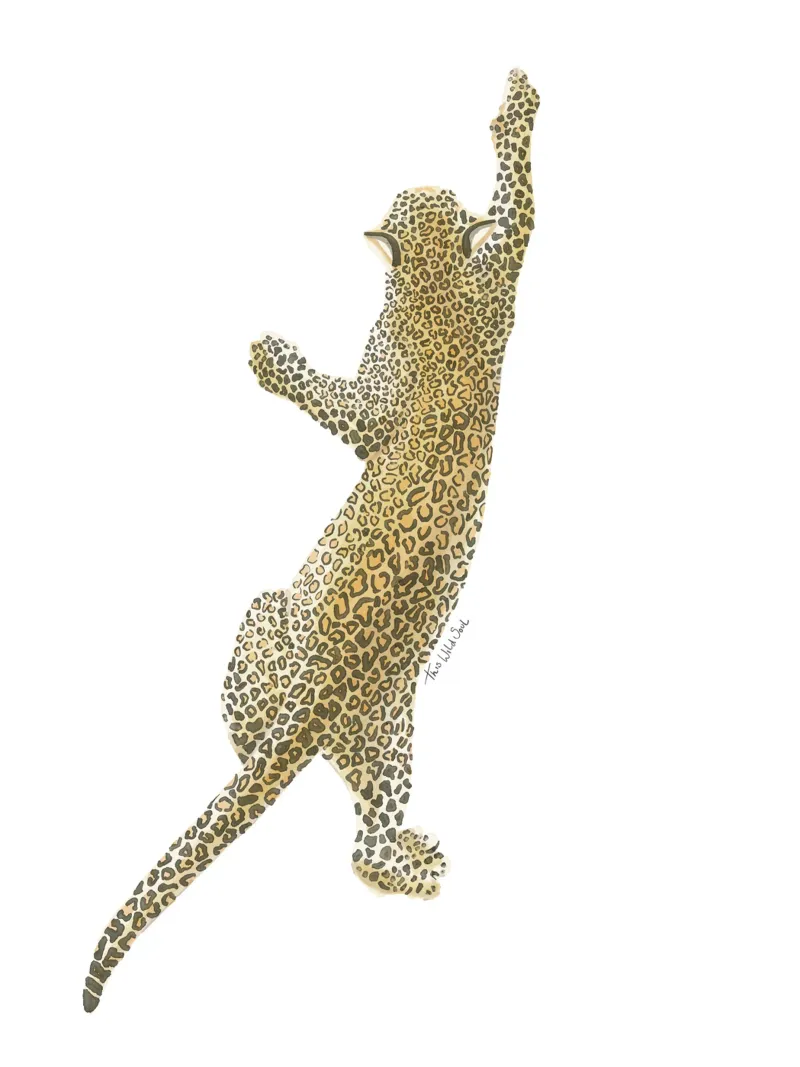 Leopardo Giaguaro Safari Gatto selvatico Illustrazione ad acquerello poster con telaio in legno da This Wild Soul - Illustration