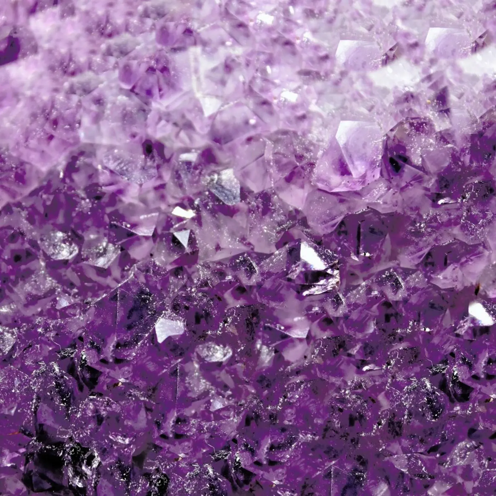 Amethyst Sparks pellicola backlit da Robin Delean