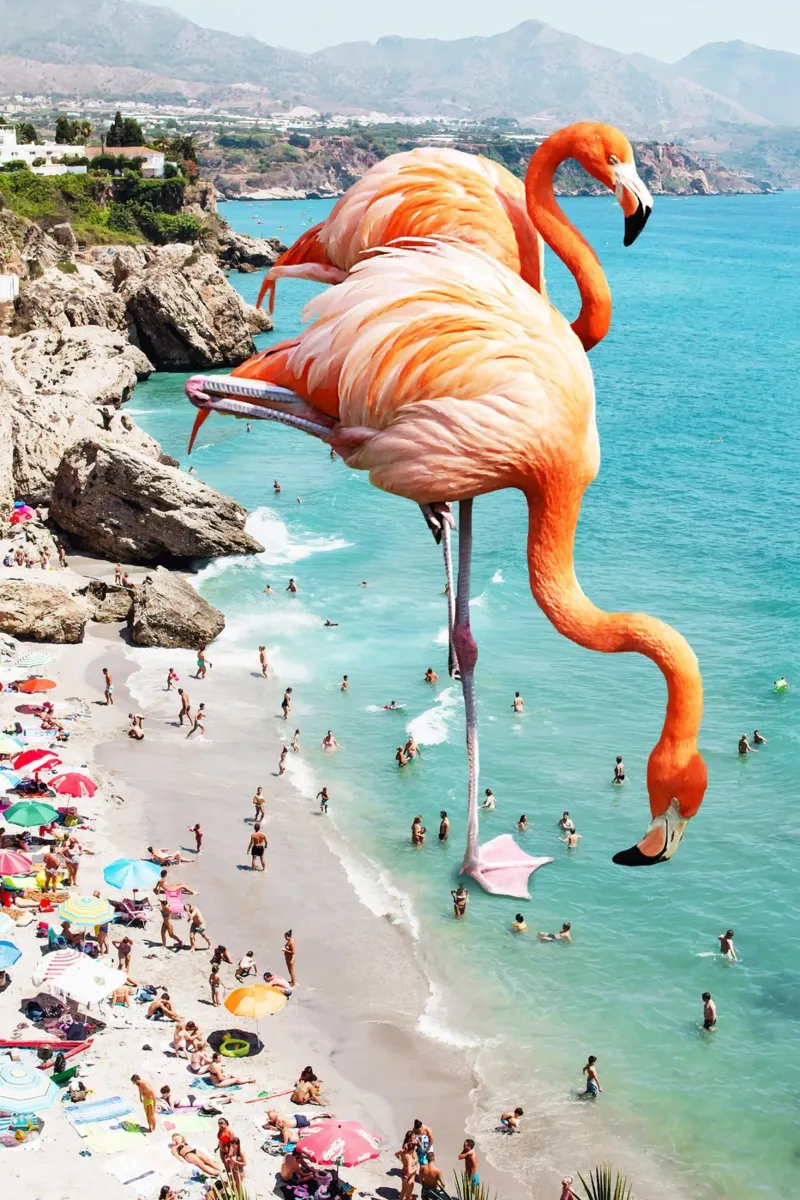 Fenicotteri sulla spiaggia alluminio dibond da 83oranges
