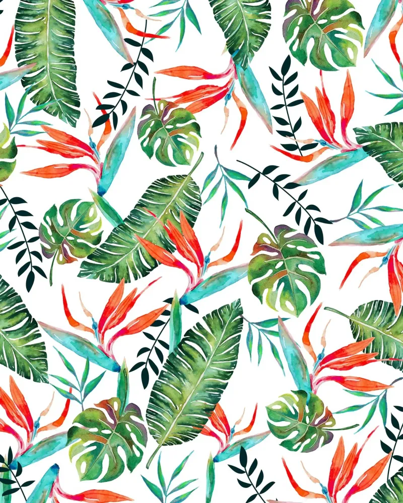 Uccello del Paradiso | Botanica tropicale poster da 83oranges