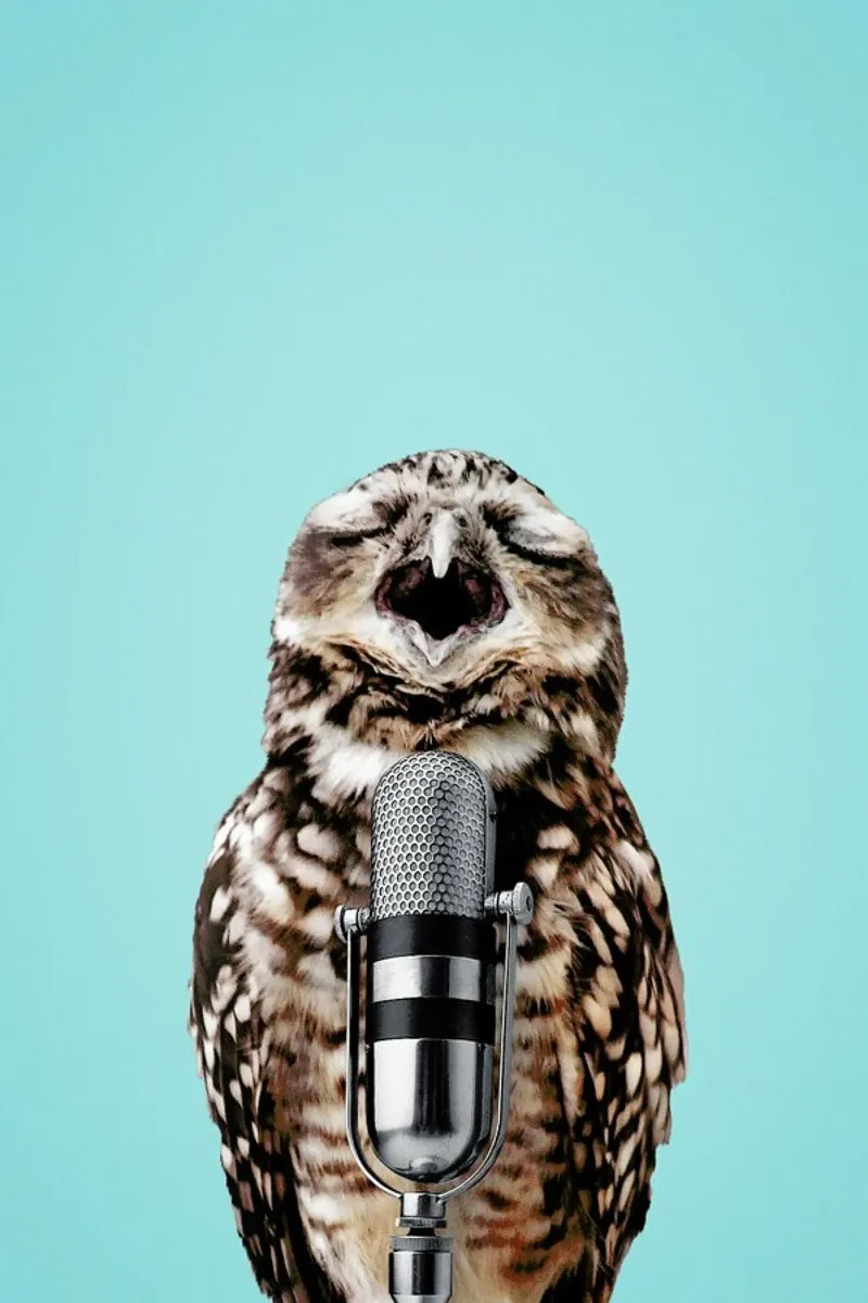 Owl Mic poster da Jonas Loose