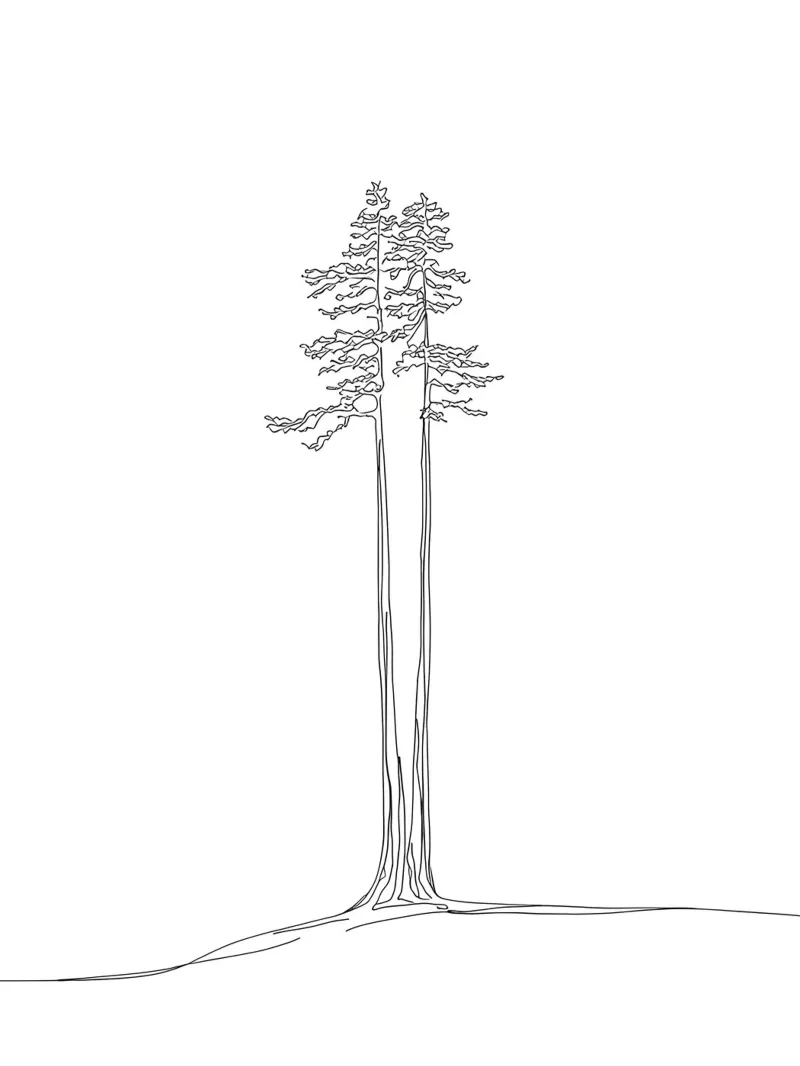 Single Tree Minimalist Line Art Drawing canvas by Viv Line Art