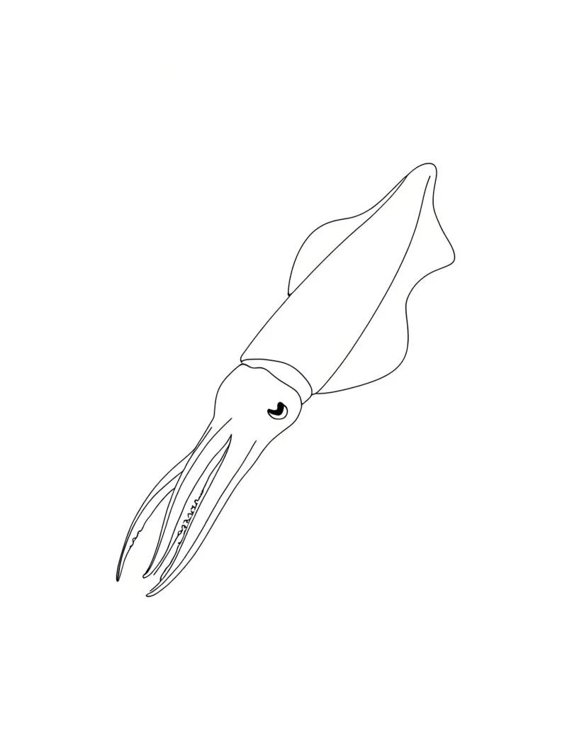 Calamaro Disegno lineare minimalista poster con telaio in alluminio da Viv Line Art