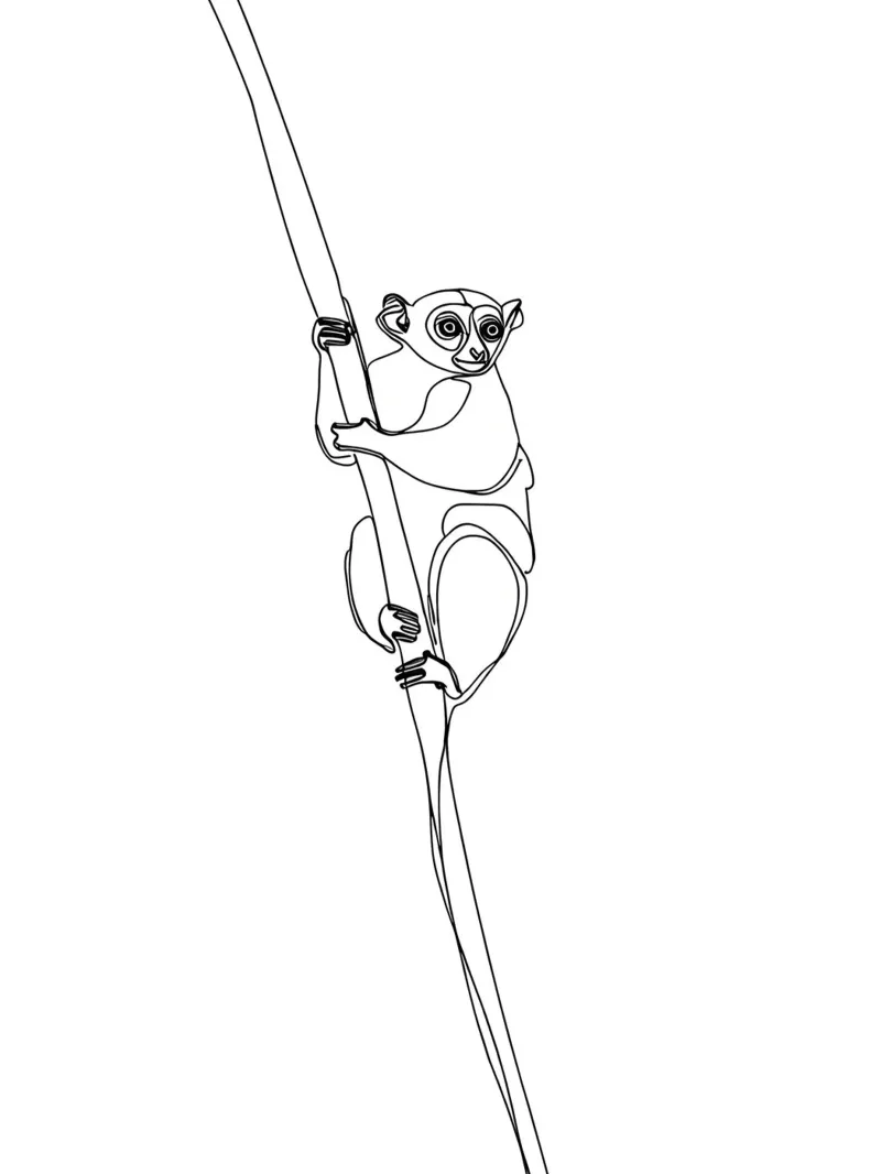 Lemur Climbing Tree Minimalist Line Art Drawing canvas by Viv Line Art
