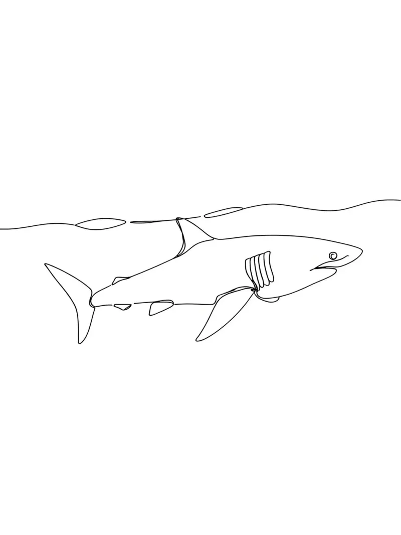 Hai unter Ozean Minimalist Line Art Zeichnung Hahnemühle von Viv Line Art