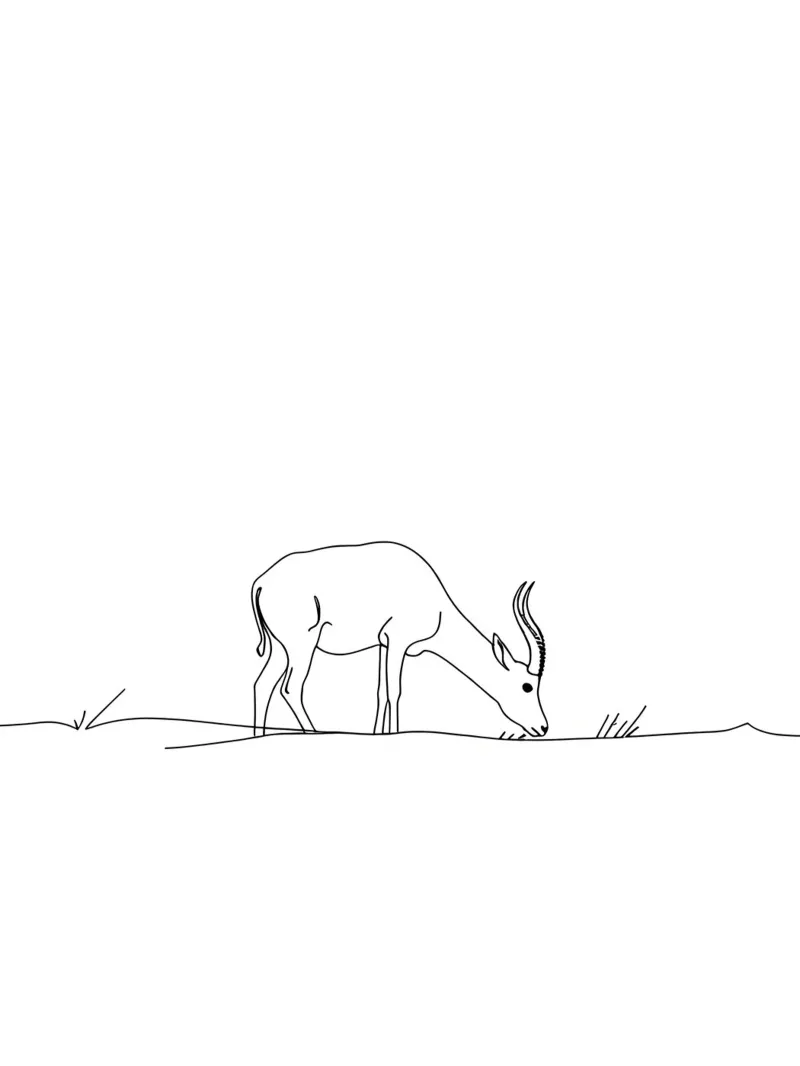 Antilope en train de brouter Dessin au trait minimaliste hahnemühle de Viv Line Art