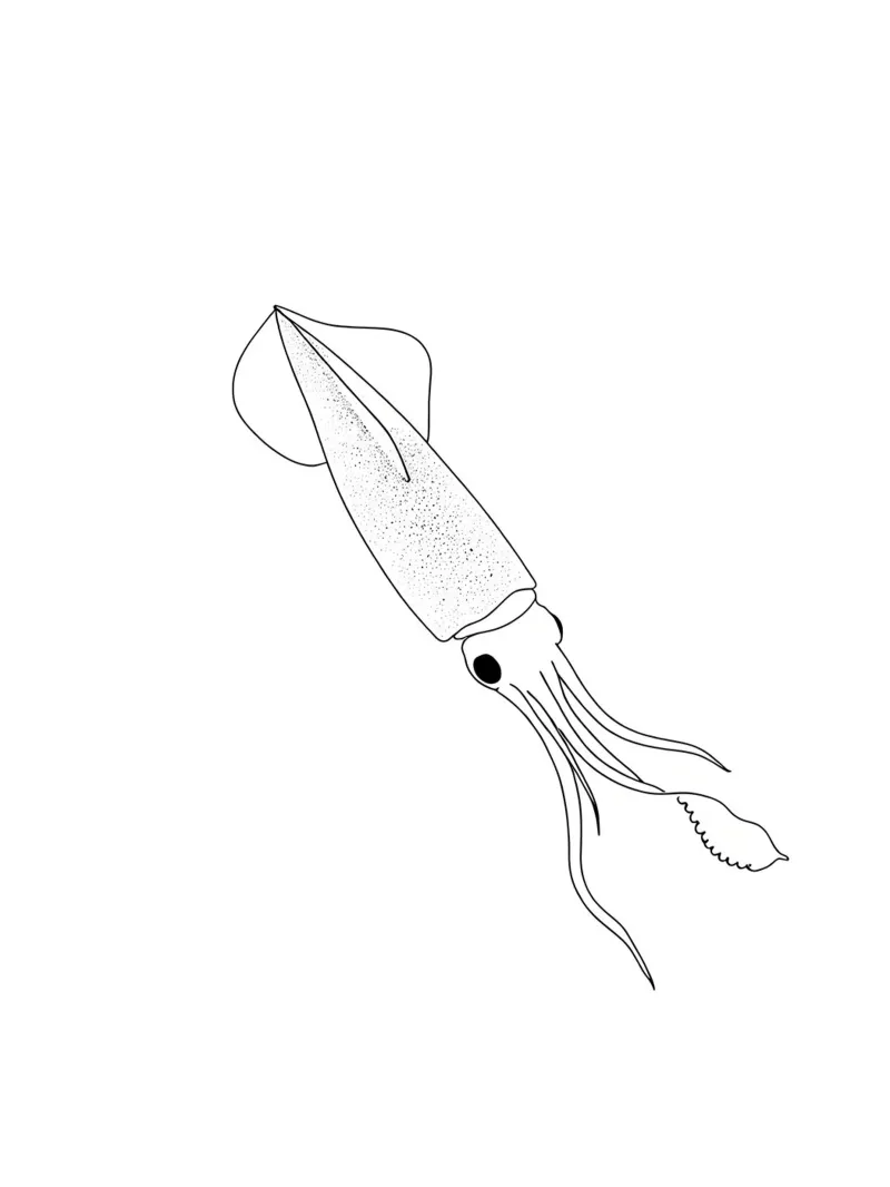 Tintenfisch Minimalist Line Art Zeichnung Poster von Viv Line Art