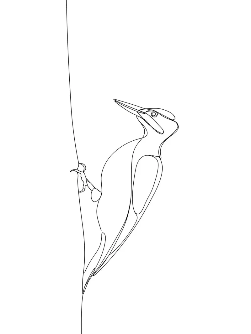 Pájaro carpintero en un árbol Dibujo minimalista lineal metacrilato de Viv Line Art