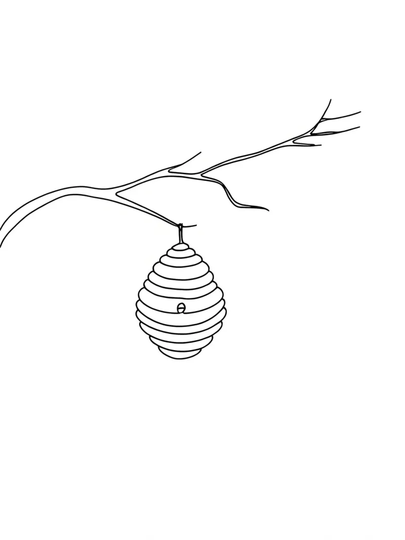 Hive Hanging on a Branch Minimalist Line Art Drawing hahnemühle by Viv Line Art