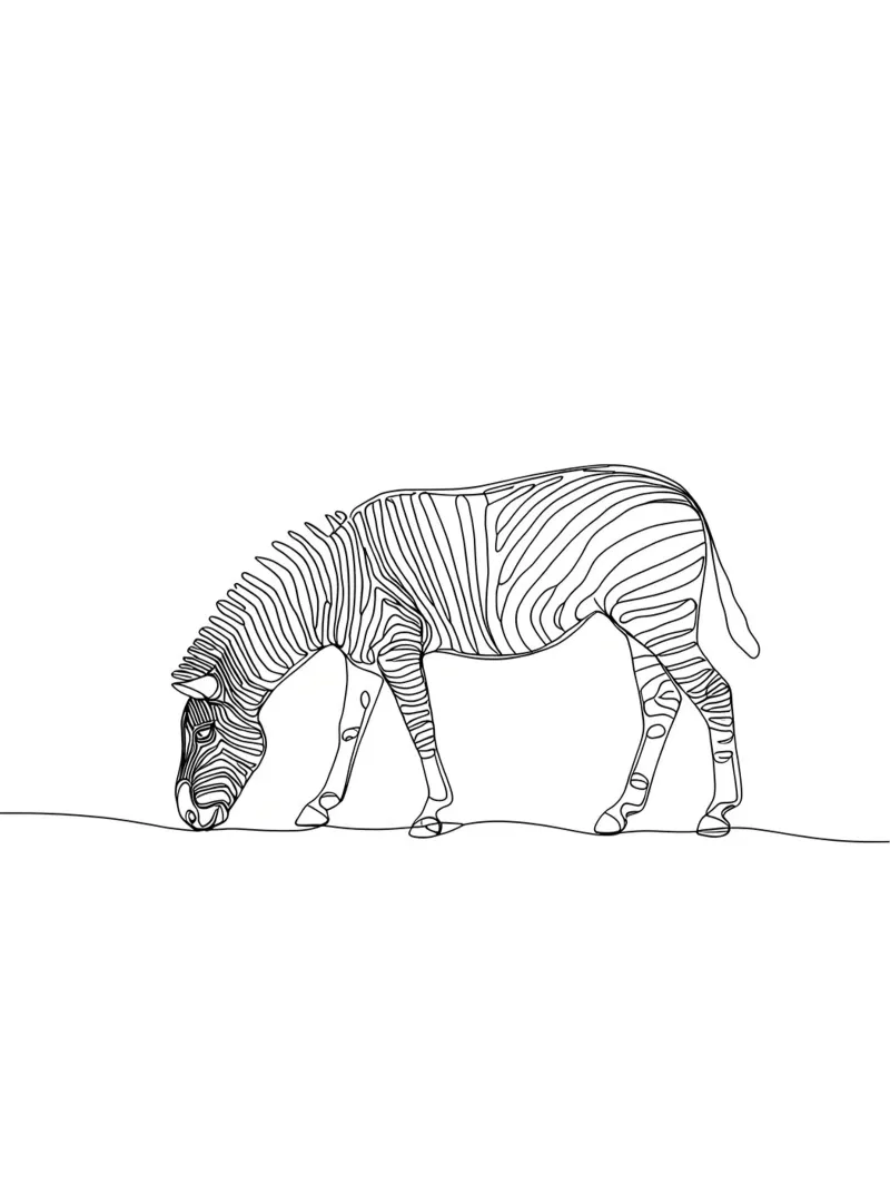 Zebra Grazing Minimalist Line Art Drawing hahnemühle by Viv Line Art