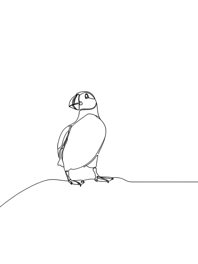 Puffin Minimalist Line Art Drawing canvas by Viv Line Art