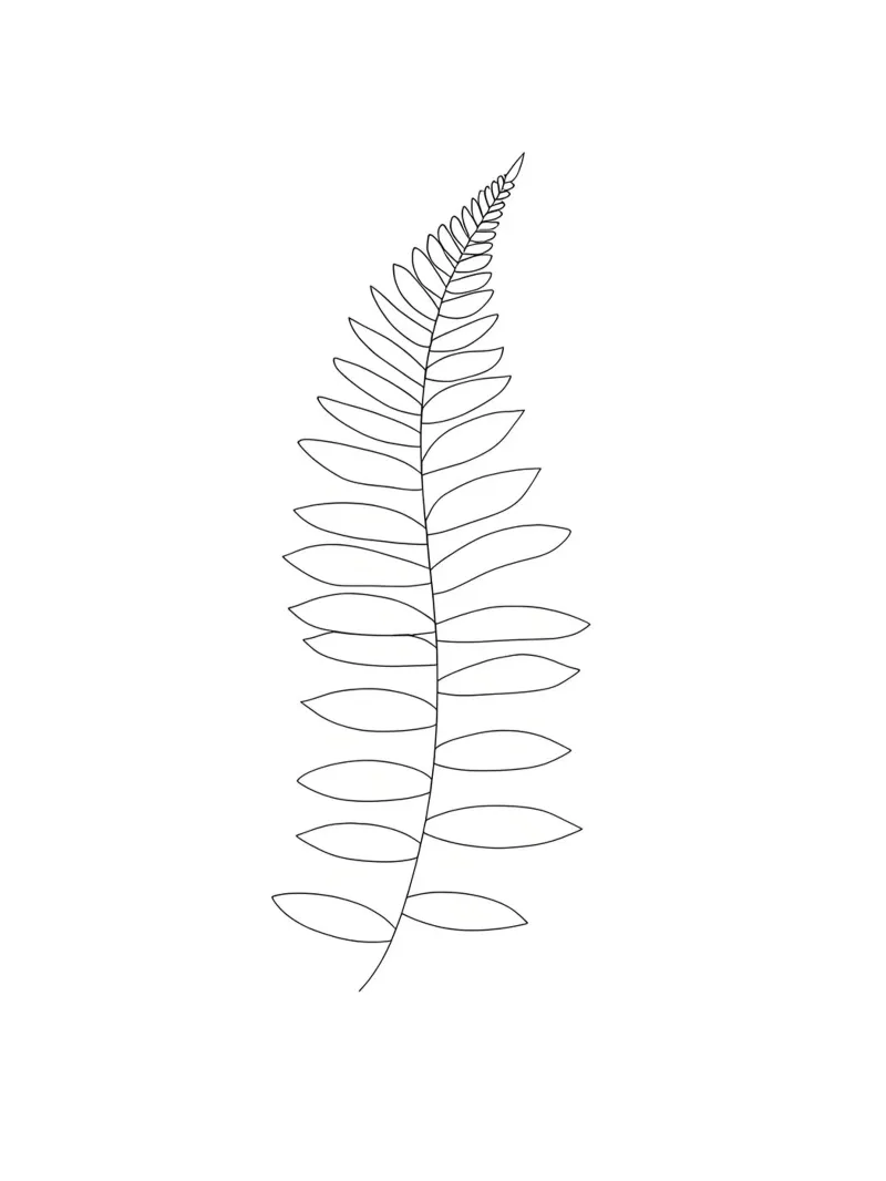 Feuille de fougère Dessin au trait minimaliste hahnemühle de Viv Line Art