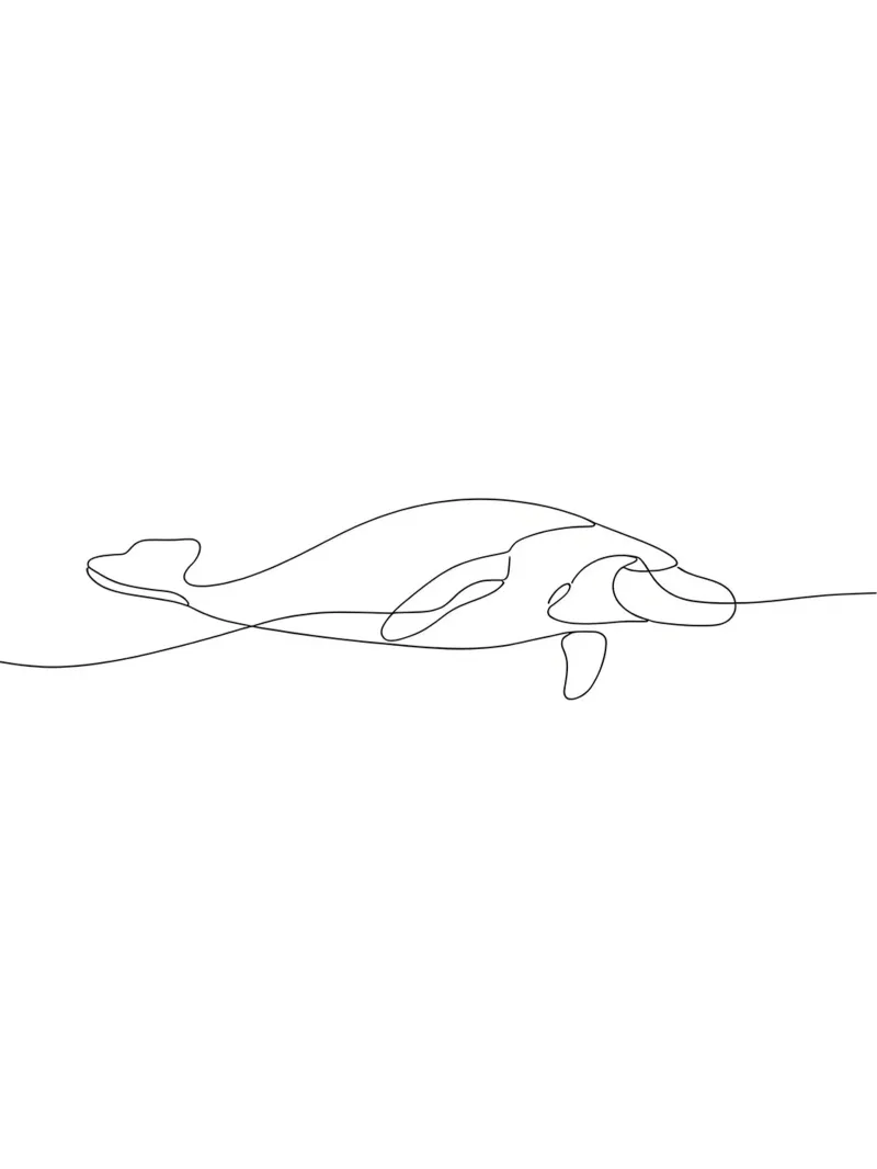 Baleine dans l'océan Dessin au trait minimaliste hahnemühle de Viv Line Art