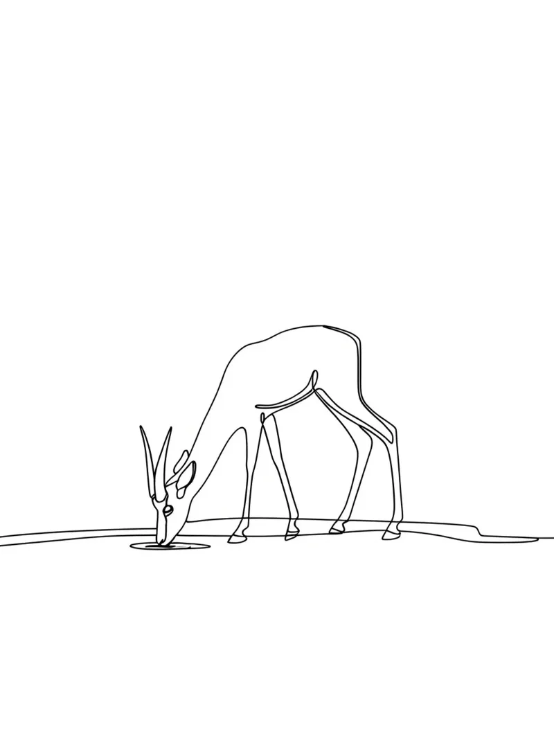 Antelope che beve acqua Disegno lineare minimalista pellicola backlit da Viv Line Art