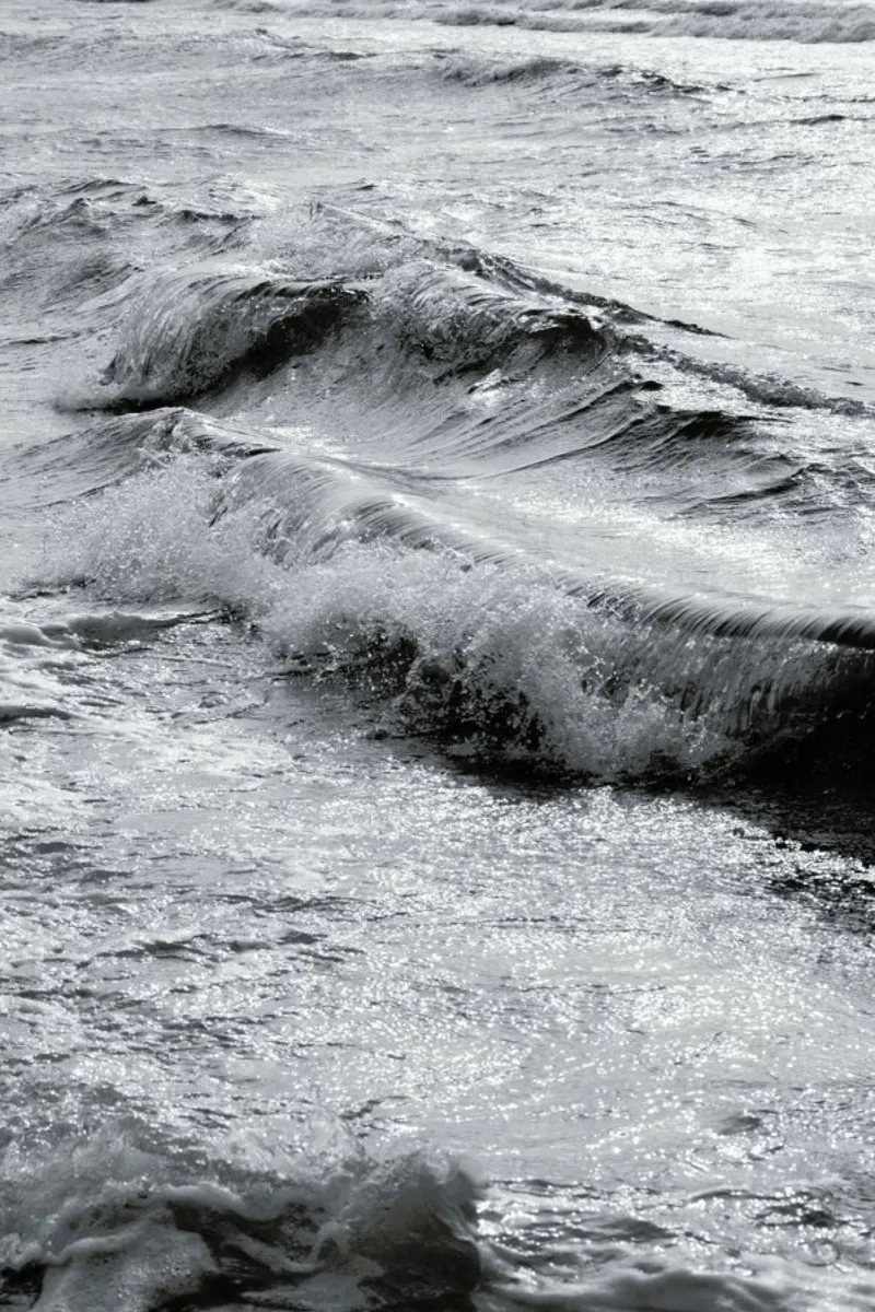 Take Me Surfing hahnemühle de Studio Nahili