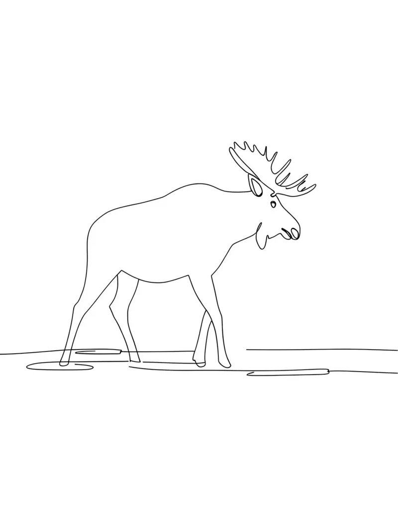 Orignal Dessin au trait minimaliste hahnemühle de Viv Line Art