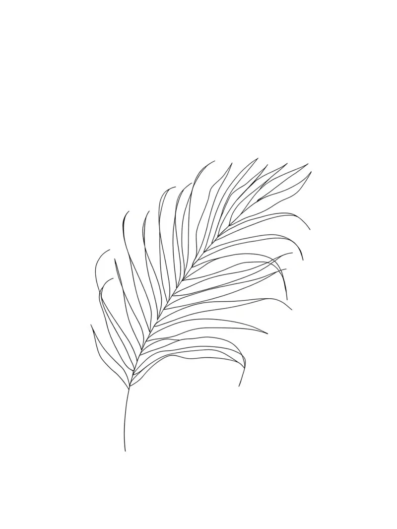 Leaf Minimalist Line Art canvas by Viv Line Art