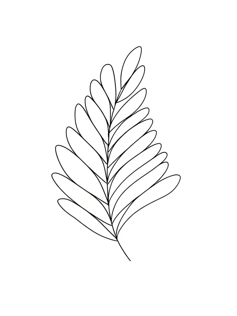 Leaf Minimalist Line Art Drawing hahnemühle by Viv Line Art