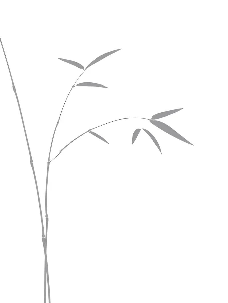 Foglie di bambù Line Art minimalista pellicola backlit da Viv Line Art