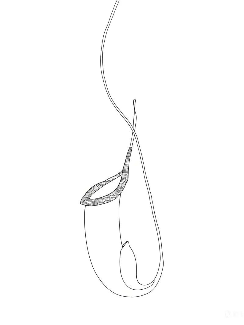 Pianta Brocca Line Art minimalista poster con telaio in legno da Viv Line Art