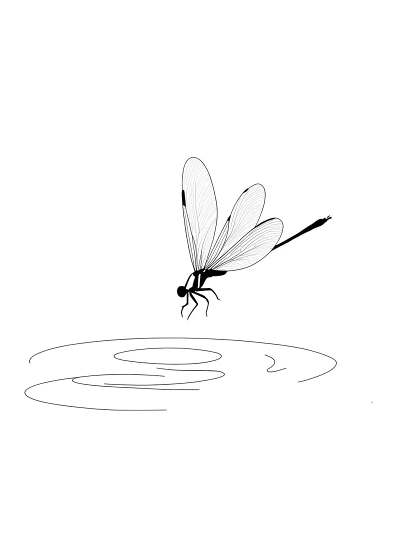 Libellula sull'acqua Line Art minimalista pellicola backlit da Viv Line Art