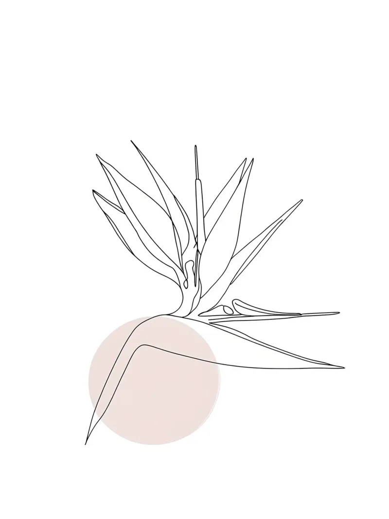 Uccello del Paradiso Line Art minimalista plexiglass da Viv Line Art