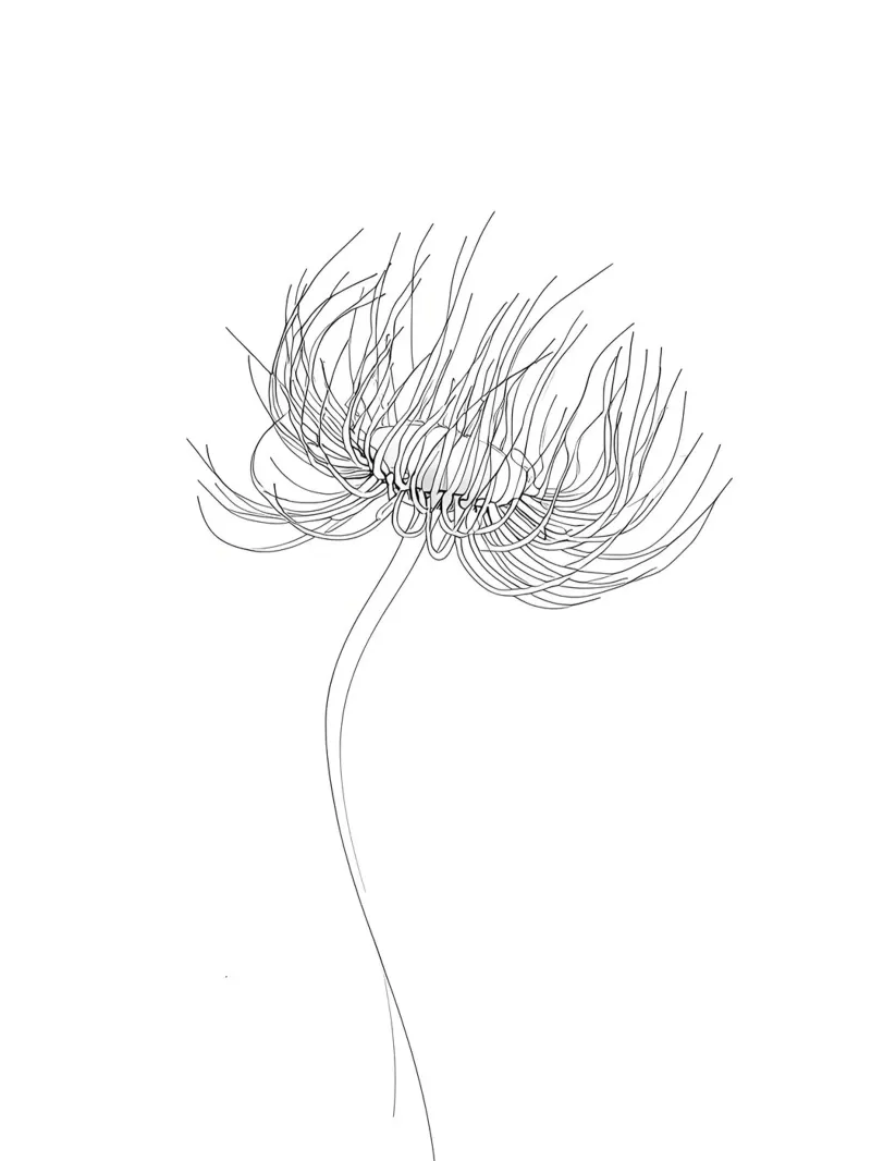 Line art minimalista di un fiore solitario carta hahnemühle da Viv Line Art
