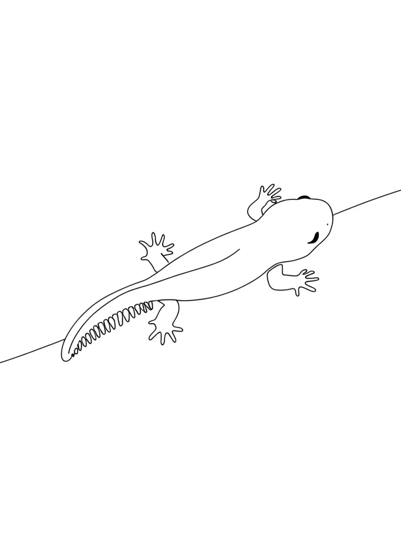 Geco - Line art minimalista pellicola backlit da Viv Line Art