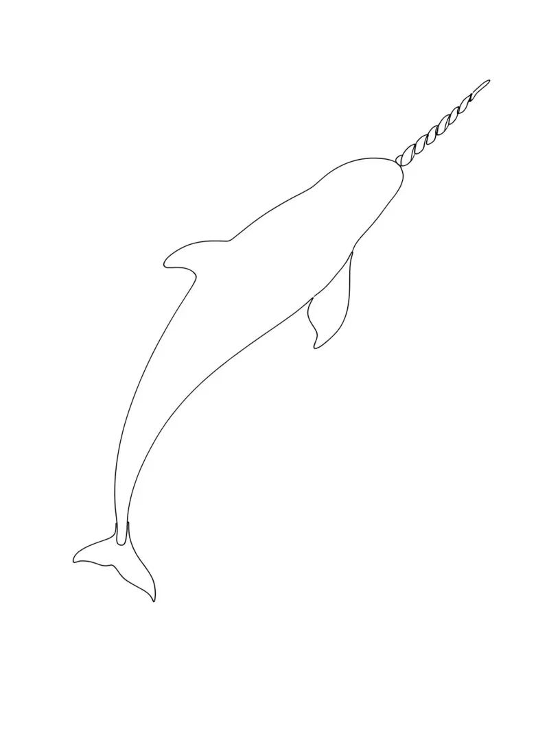 Line art minimalista del narvalo pellicola backlit da Viv Line Art