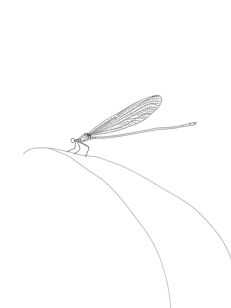Libellula Line Art minimalista pellicola backlit da Viv Line Art