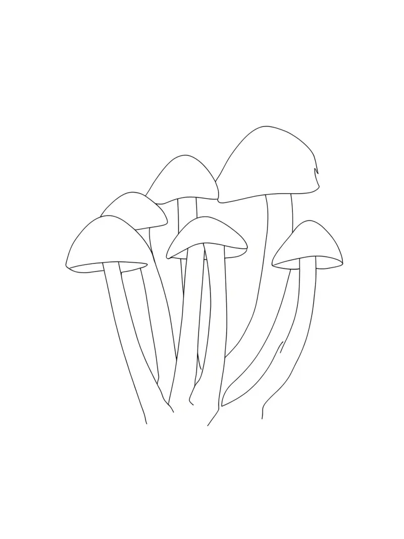 Funghi Line Art minimalista carta hahnemühle da Viv Line Art