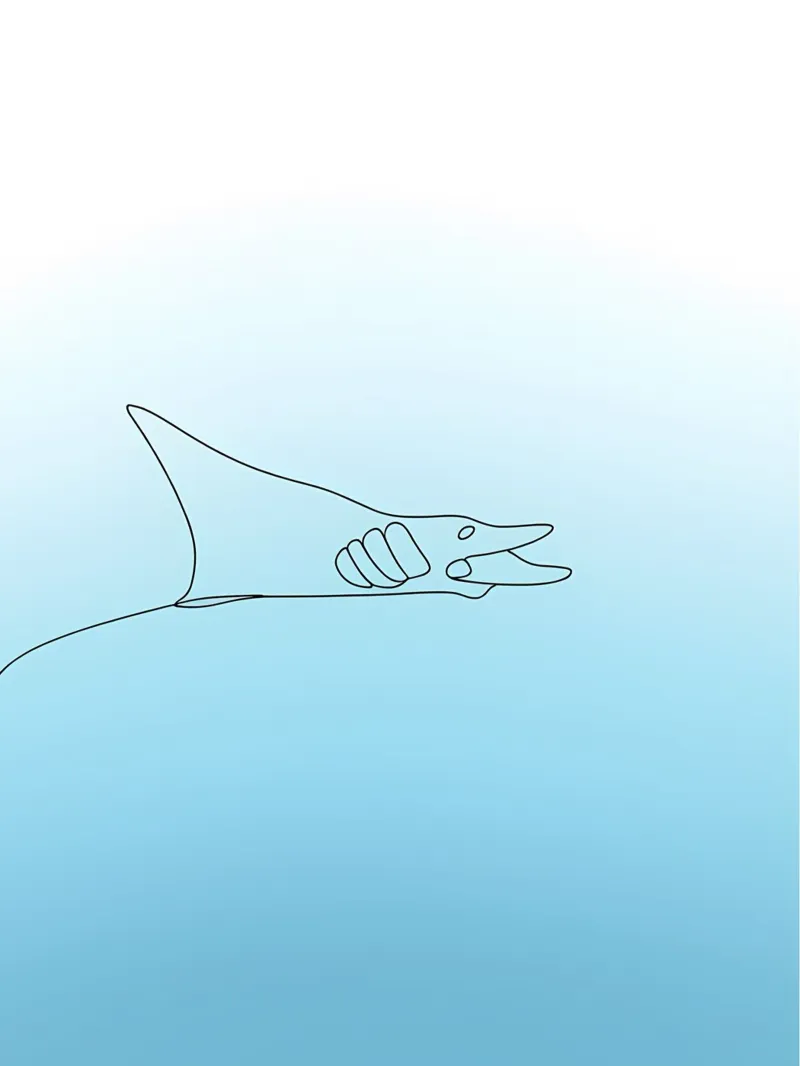 Razze Minimaliste Line Art pellicola backlit da Viv Line Art
