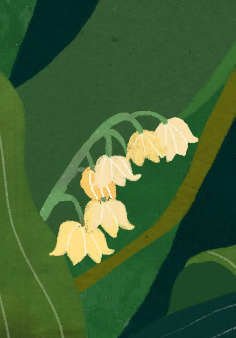 Lily of the valley pellicola backlit da GigiRosado