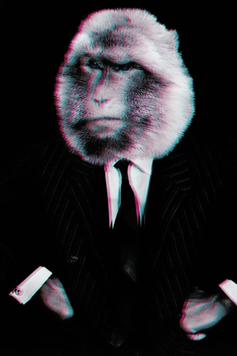 Monkey pellicola backlit da Paste in Place