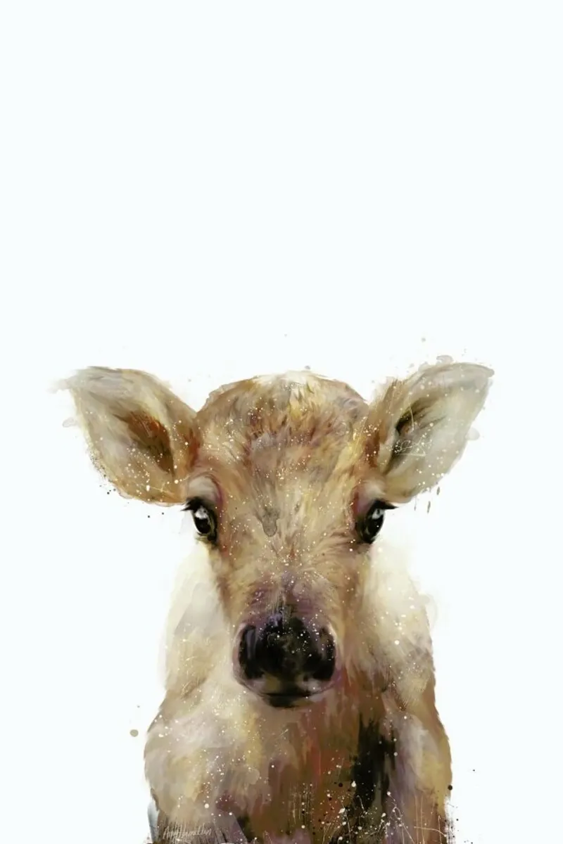 Little Reindeer hahnemühle by Amy Hamilton