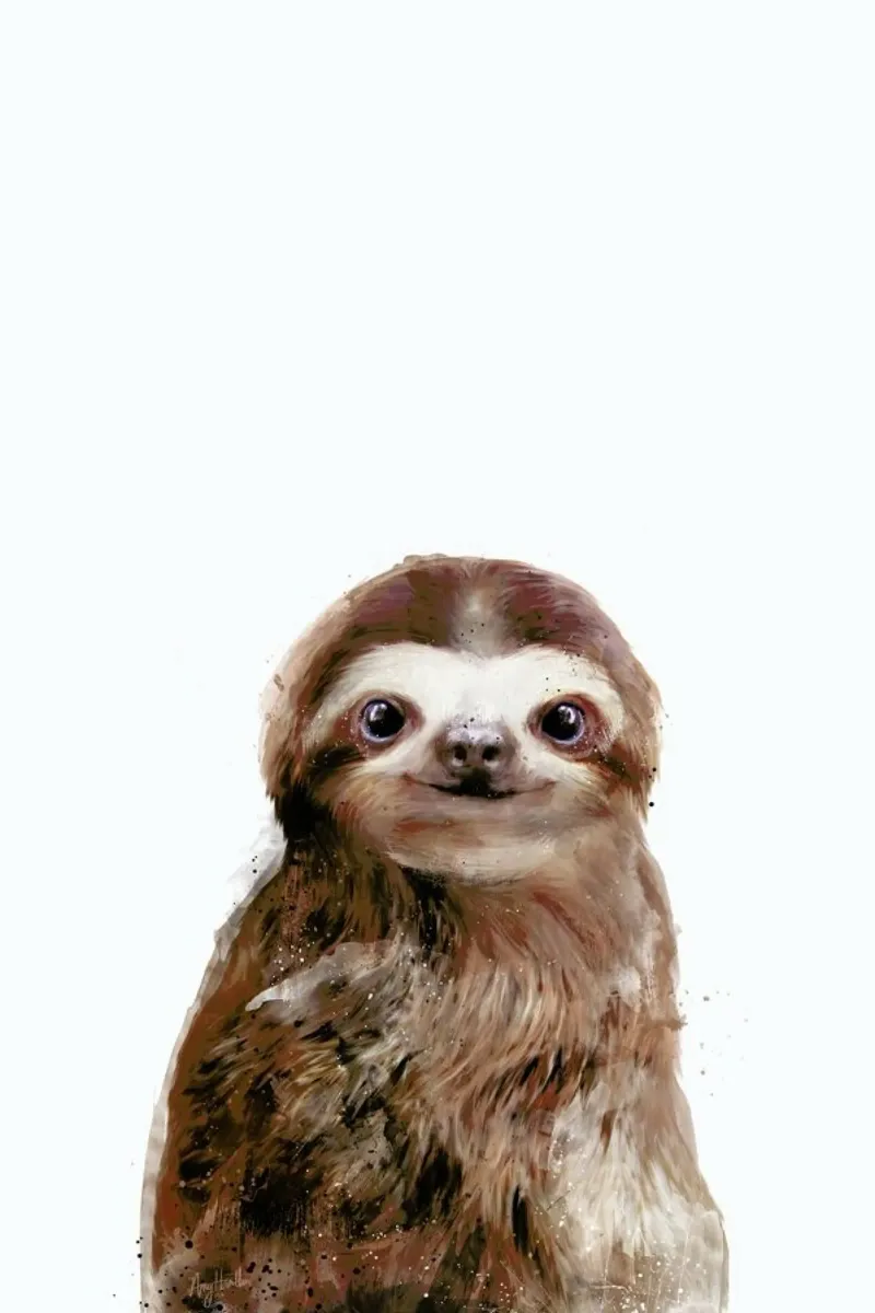 Little Sloth pellicola backlit da Amy Hamilton