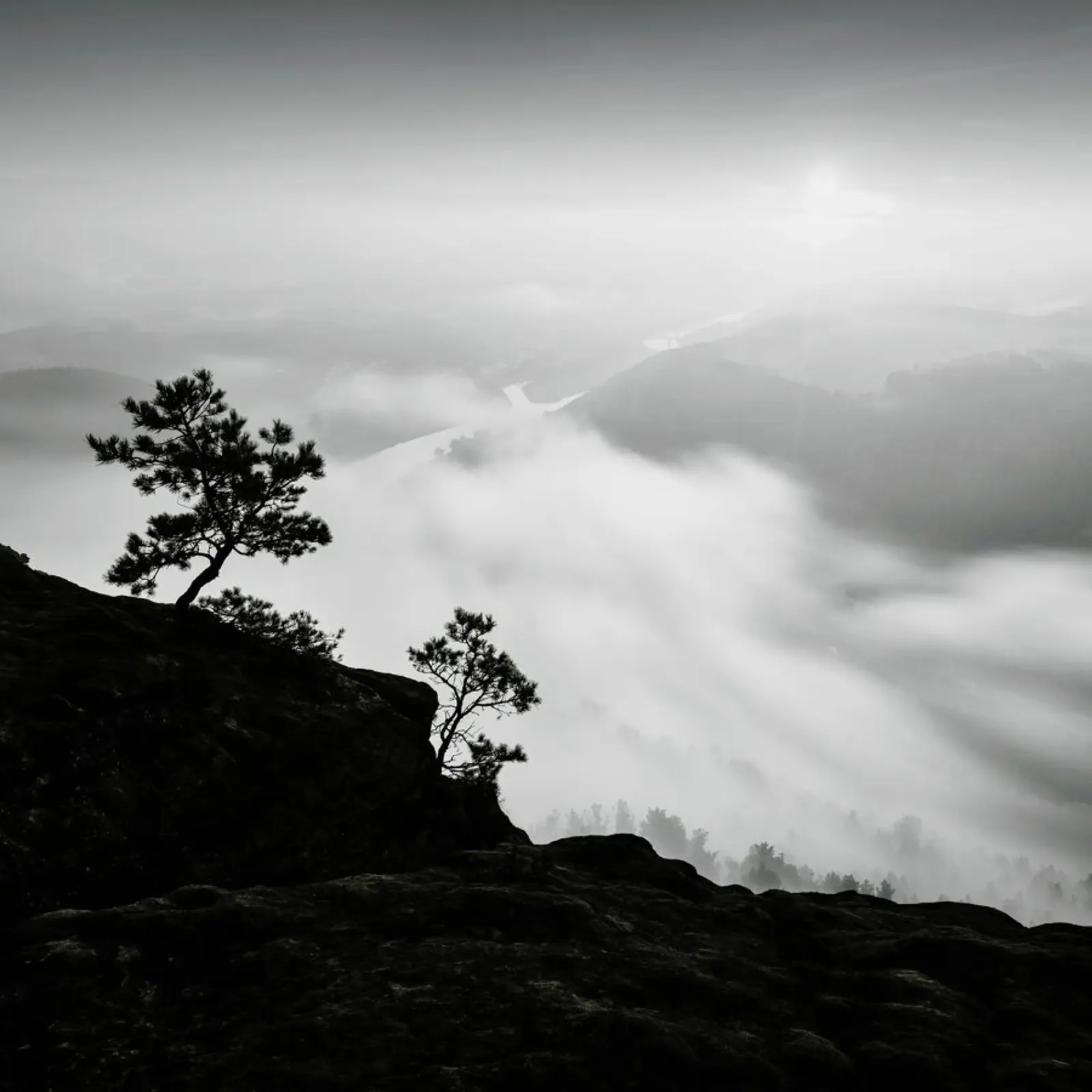 Above and Beyond, Lilienstein pellicola backlit da Håggard Photography | Ronny Behnert